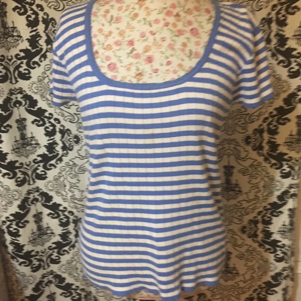 Tommy Hilfiger Blue and White Sweater